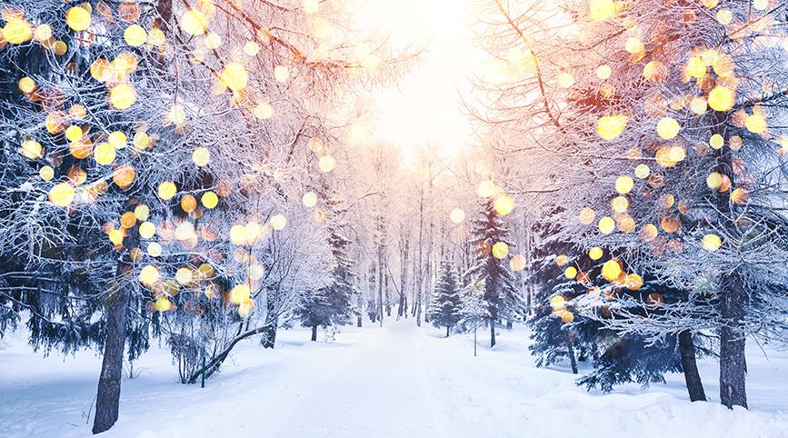 在雪景中把灯串在树上