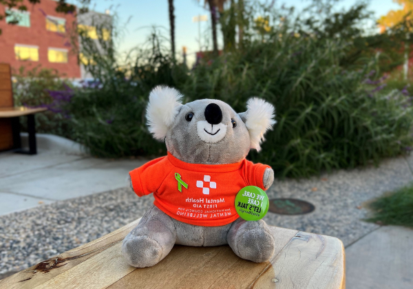 Stuffed koala bear sitting on bench with orange t-shirt reading Mental Health First Aid. Green ribbon pin and green button.